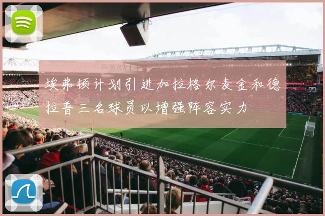 埃弗顿计划引进加拉格尔麦金和德拉普三名球员以增强阵容实力