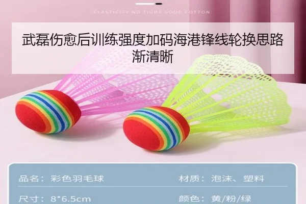 武磊伤愈后训练强度加码海港锋线轮换思路渐清晰 | MilanSports