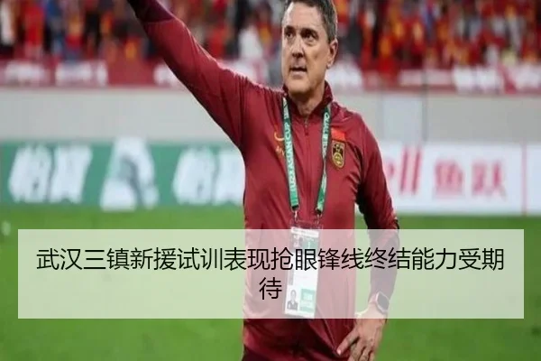 武汉三镇新援试训表现抢眼锋线终结能力受期待 | MilanSports
